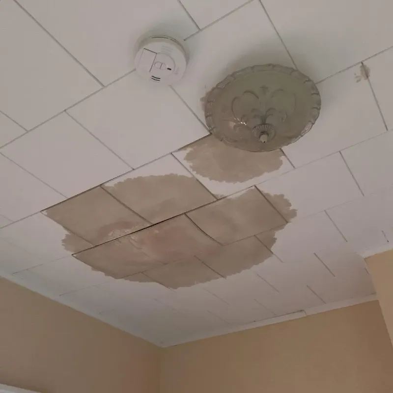 Ceiling Water Damage Repair in Johnston County, OK