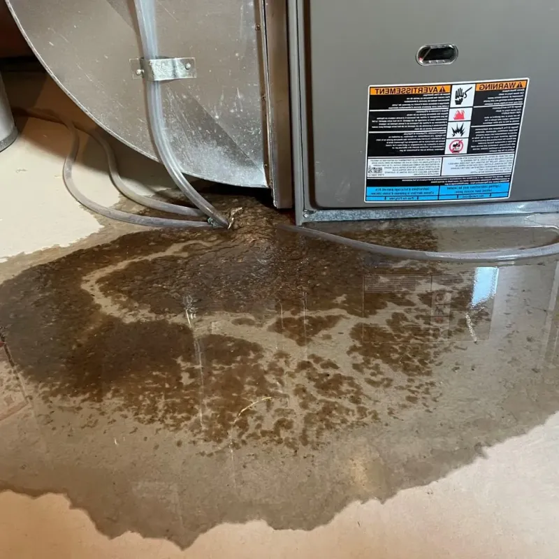Pipe Burst and Leak Restoration in Johnston County, OK