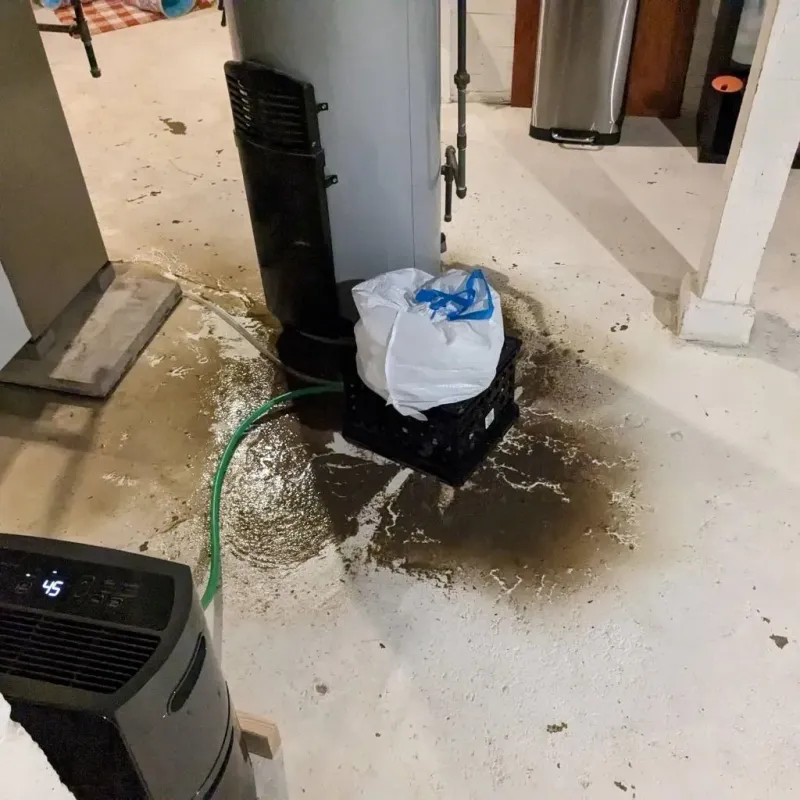 Sewage Backup Cleanup Service in Johnston County, OK